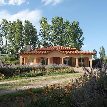Casona Aventurados Villa Lujan de Cuyo Ngoại thất bức ảnh