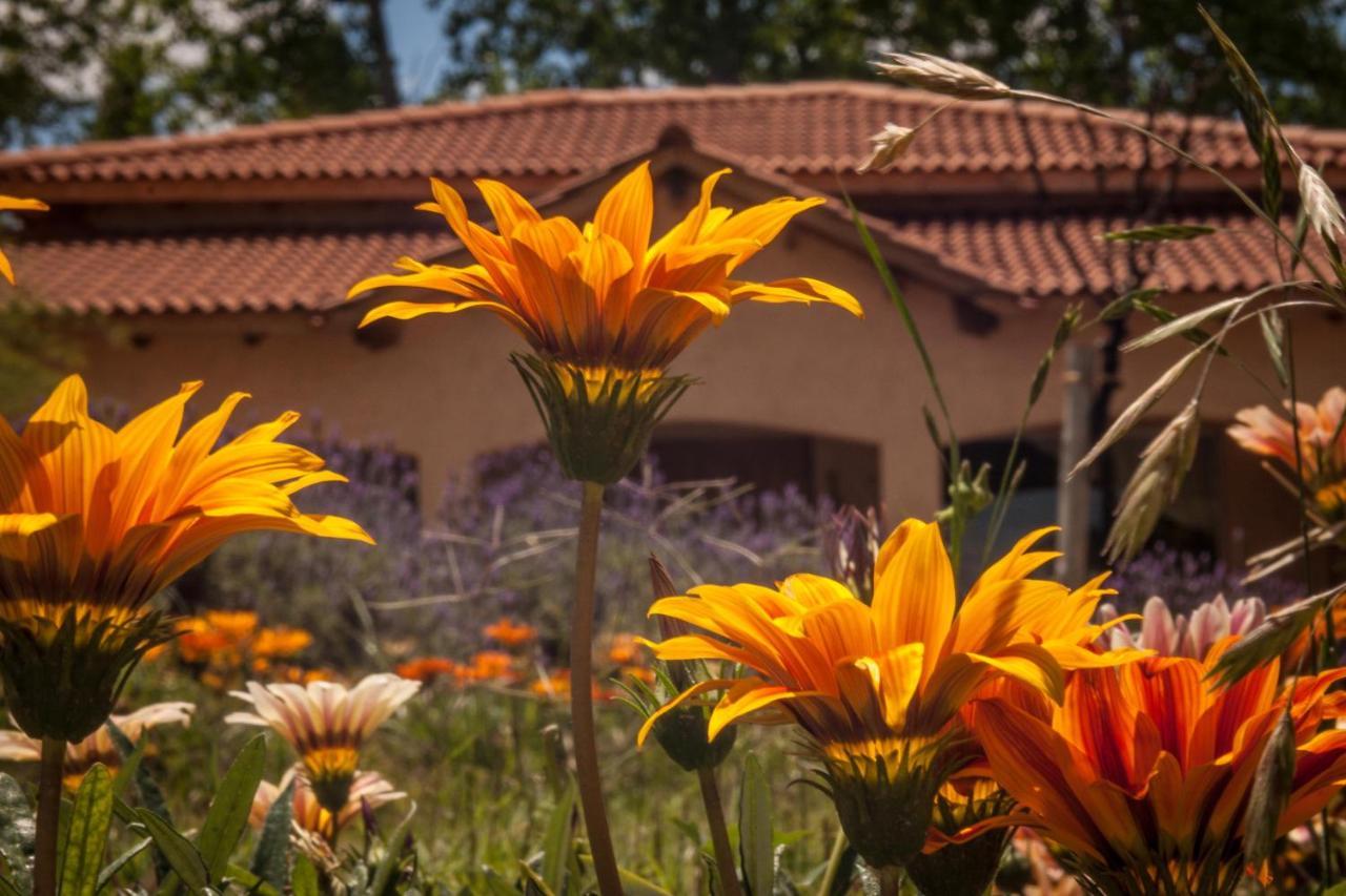 Casona Aventurados Villa Lujan de Cuyo Ngoại thất bức ảnh