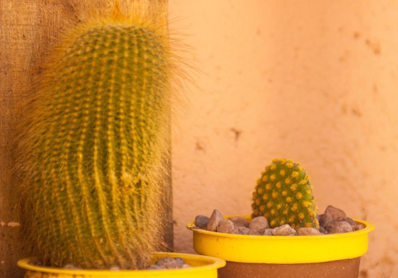 Casona Aventurados Villa Lujan de Cuyo Ngoại thất bức ảnh